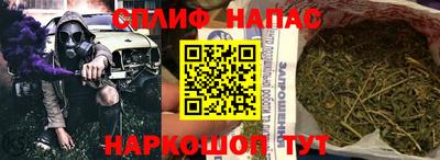 гидра Новокубанск