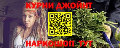 гидра Новокубанск