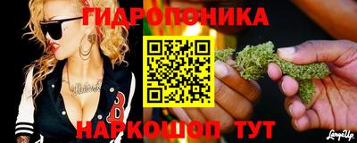 apvp Новодвинск
