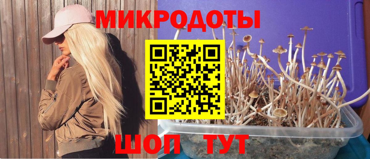 Псилоцибиновые грибы Magic Shrooms  Вход с VPN  Галлюциногенные грибы Psilocybe  Трёхгорный 
