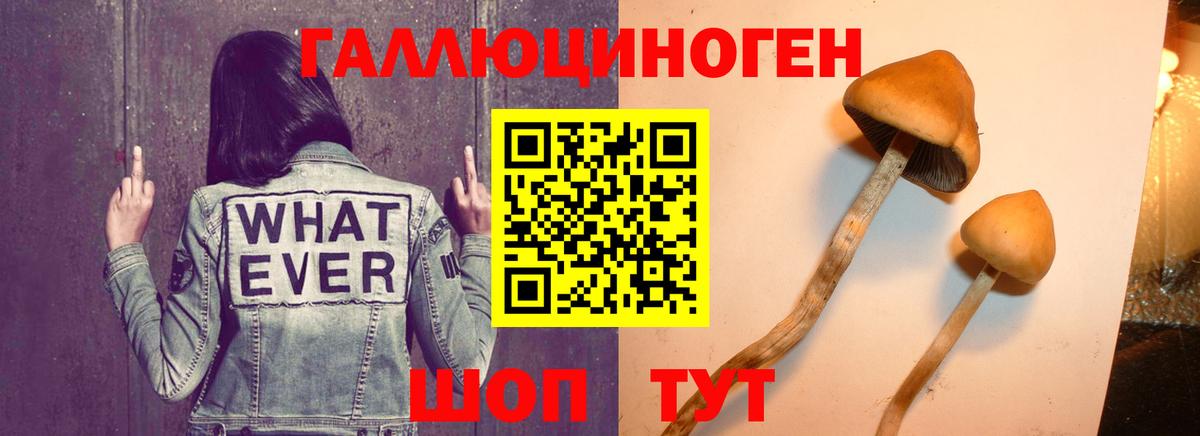 Галлюциногенные грибы GOLDEN TEACHER Трёхгорный